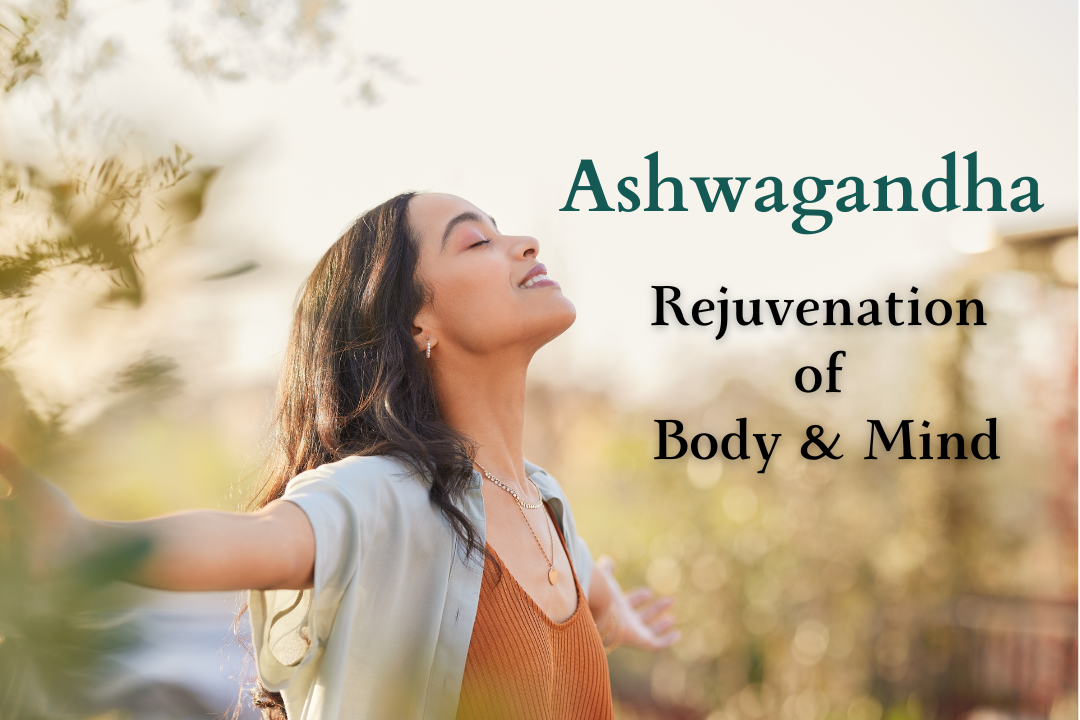 Rejuvenation for body and mind