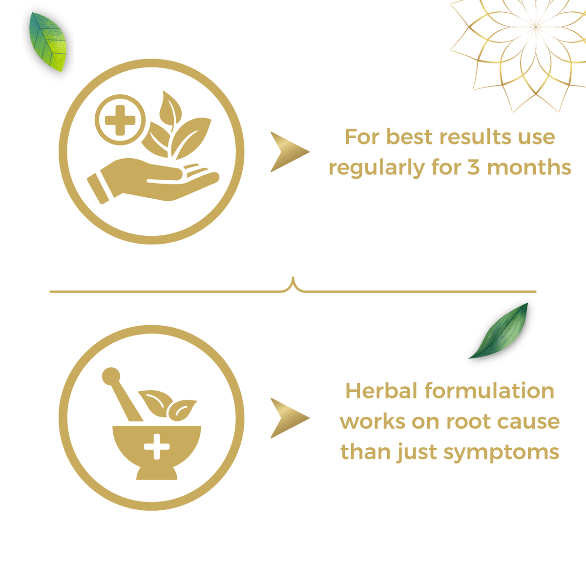 Jointrite Capsule | Herbal joint pain relief capsule | Ayurvedic joint support supplement | Anti-inflammatory, anti-rheumatism